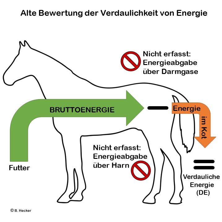 Alte Bewertung der Verdaulichkeit von Energie beim Pferd