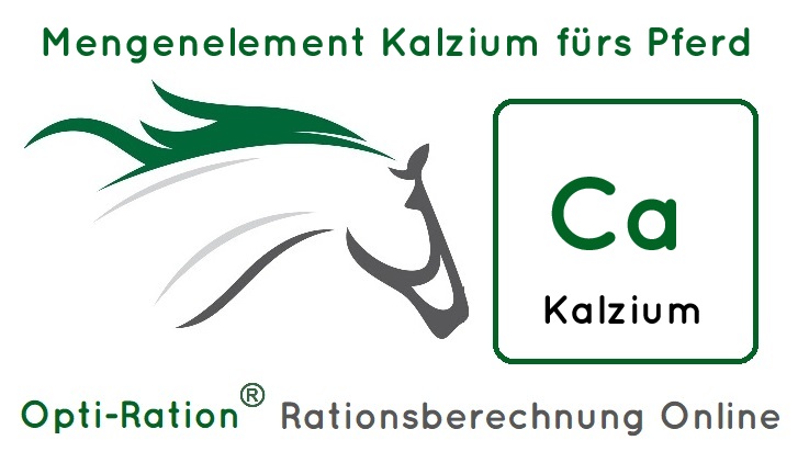 Kalzium und Phosphor