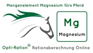 Magnesium