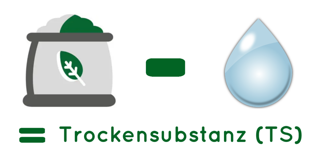 Trockensubstanz