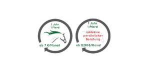 Jahreslizenzen