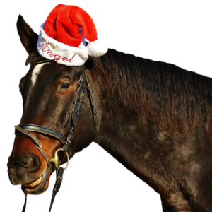 Pferd Weihnachten