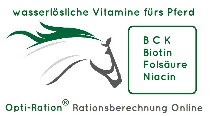 wasserlösliche Vitamine