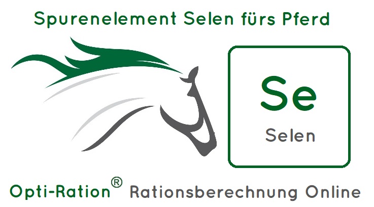 Selen pferd