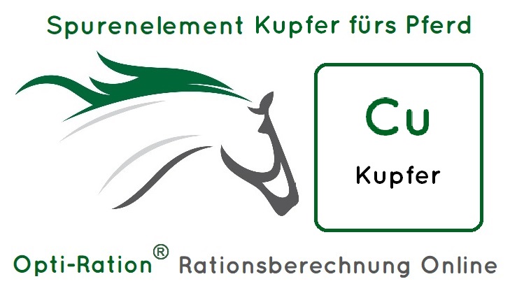Kupfer Pferd