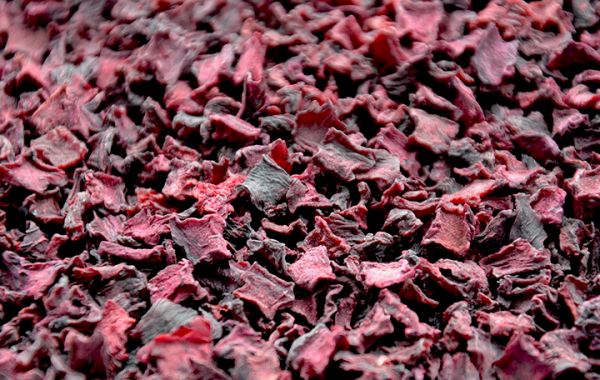 rote bete, getrocknet