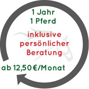 Jahreslizenz mit Beratung