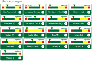 rationsanalyse
